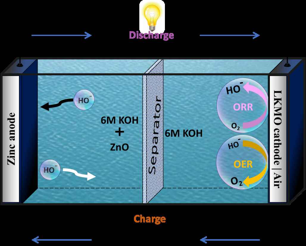 Multifunctional Perovskites: From Batteries to Green Pharma